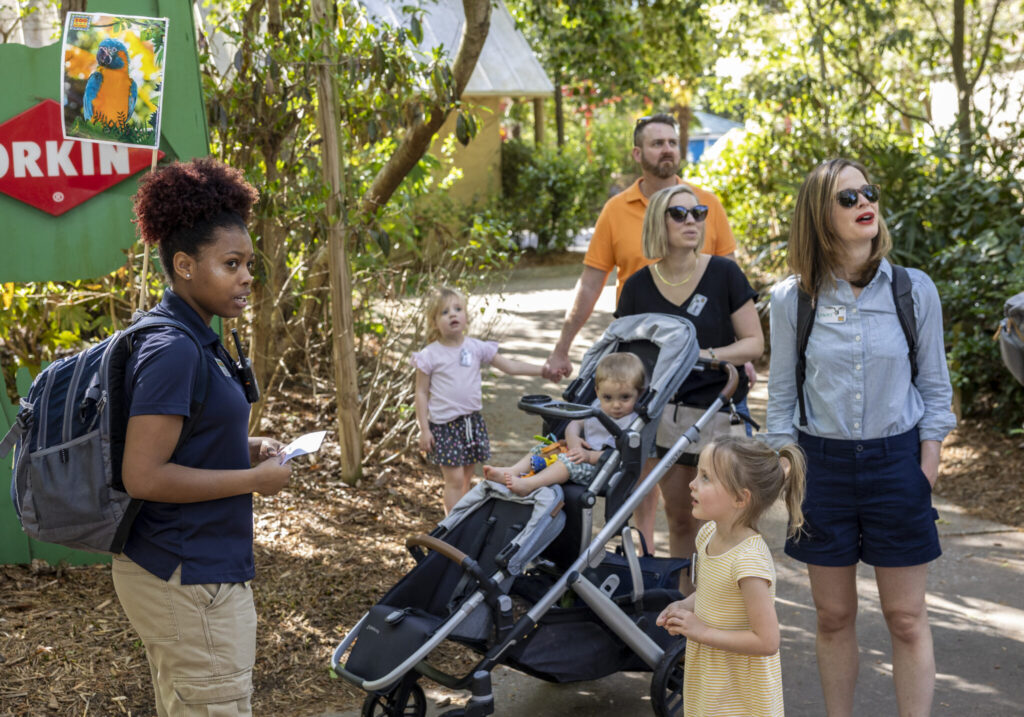 Adventure Cubs at Zoo Atlanta
